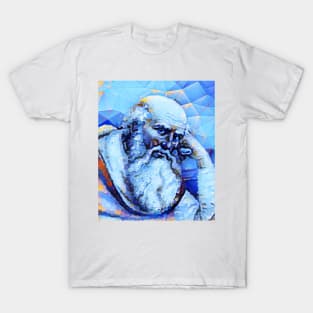 St. Jerome Portrait | St. Jerome Artwork | St. Jerome Painting 14 T-Shirt